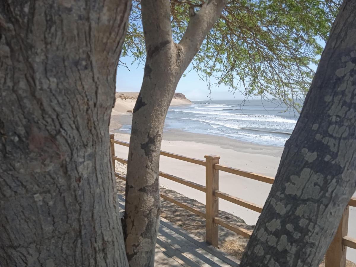 Chicama Surf Camp Hotel Puerto Chicama Kültér fotó